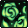 A Rose in the Dark